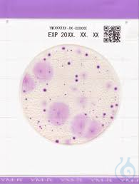 Fertign&auml;hrmedien Easy Plate YM-R (Yeast and Mold rapid) Fertign&auml;hrmedien Easy...